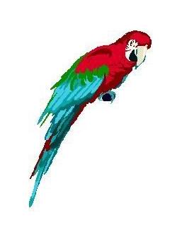 The Village Players' parrot